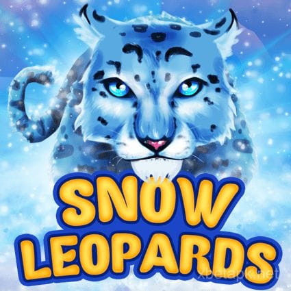 Snow Leopards